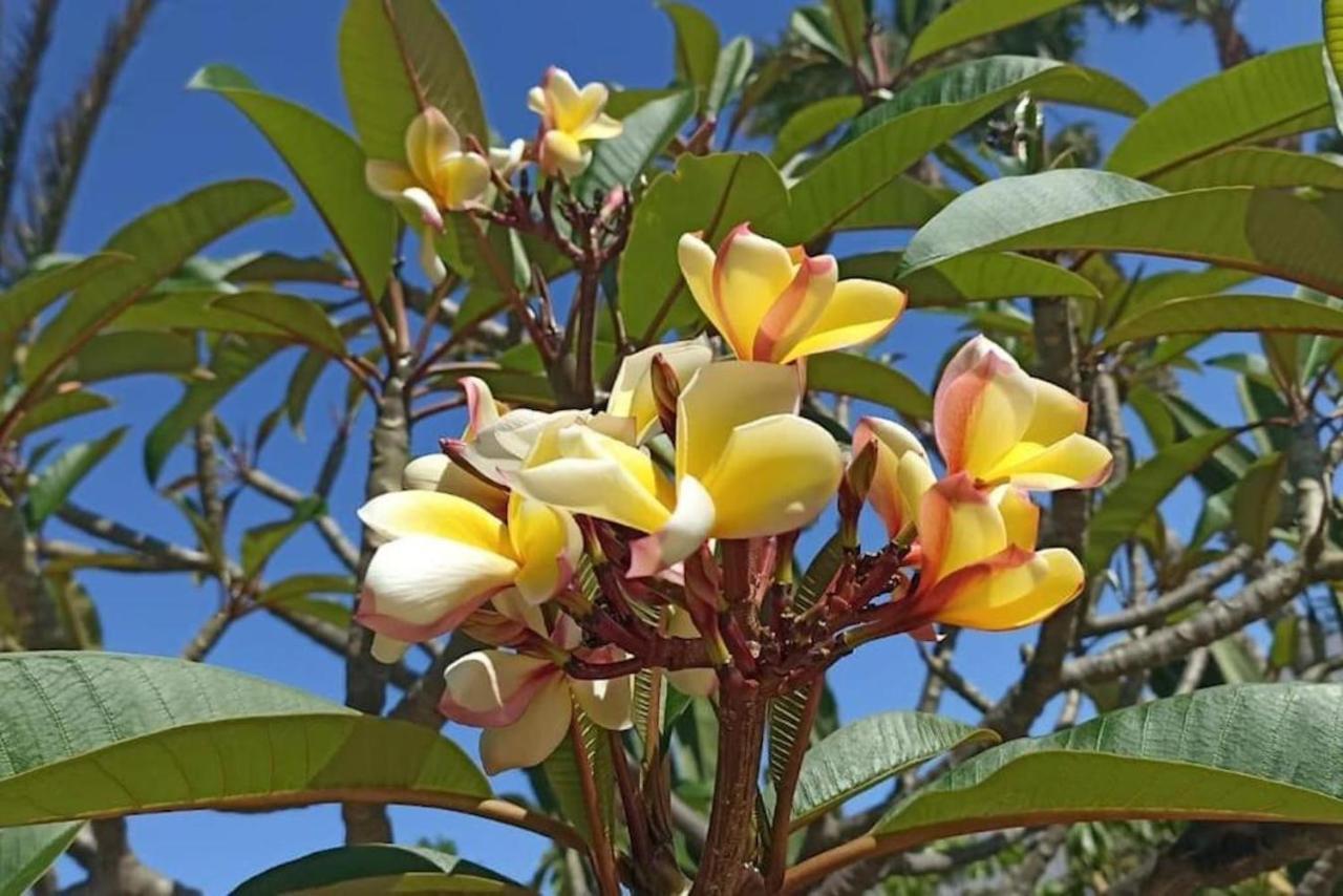 Fuerteventura Corralejo Casa Fernanda公寓 外观 照片